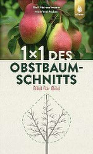 1 x 1 des Obstbaumschnitts de Rolf Heinzelmann