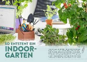 Endlich Mittagspause! Indoor-Gärtnern zwischen Mails und Meetings mit Pflücksalat, Sprossen & Co. de Lotta Repenning