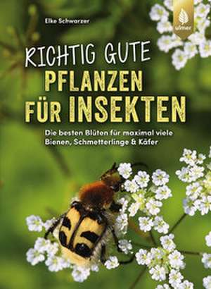 Richtig gute Pflanzen für Insekten de Elke Schwarzer