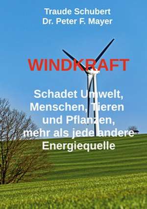 Windkraft de Peter F. Mayer