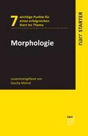 Morphologie de Sascha Michel