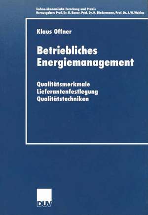 Betriebliches Energiemanagement: Qualitätsmerkmale — Lieferantenfestlegung — Qualitätstechniken de Klaus Offner