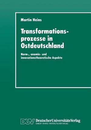 Transformationsprozesse in Ostdeutschland: Norm-, anomie- und innovationstheoretische Aspekte de Martin Heins