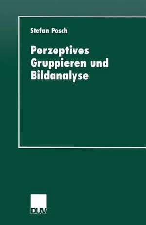 Perzeptives Gruppieren und Bildanalyse de Stefan Posch