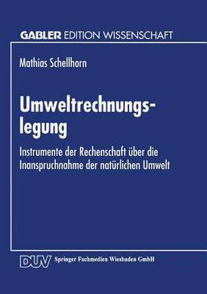 Umweltrechnungslegung: Instrumente der Rechenschaft über die Inanspruchnahme der natürlichen Umwelt de Matthias Schellhorn