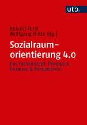 Sozialraumorientierung 4.0 de Roland Fürst