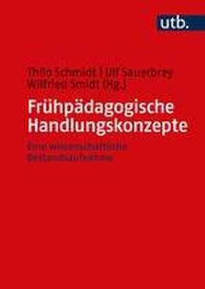 Frühpädagogische Handlungskonzepte de Thilo Schmidt