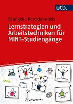 Lernstrategien und Arbeitstechniken für MINT-Studiengänge de Evangelia Karagiannakis