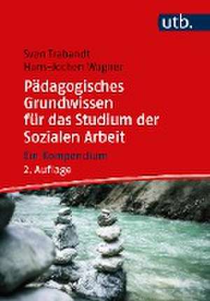 Pädagogisches Grundwissen für das Studium der Sozialen Arbeit de Sven Trabandt