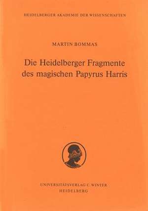 Die Heidelberger Fragmente Des Magischen Papyrus Harris: Dialoglinguistische Studien Zu Terenz de Martin Bommas