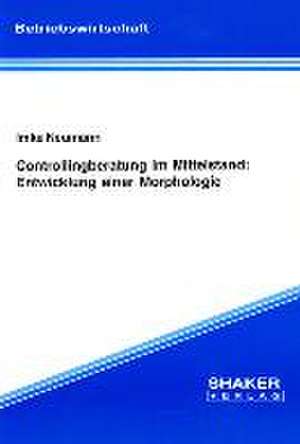 Controllingberatung im Mittelstand: Entwicklung einer Morphologie de Imke Neumann