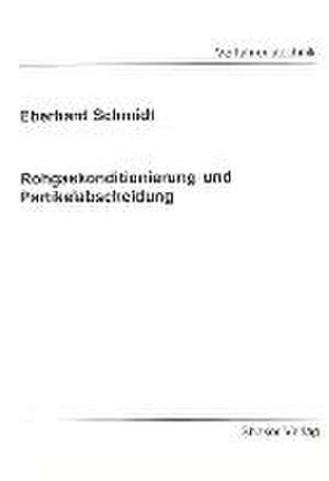 Rohgaskonditionierung und Partikelabscheidung de Eberhard Schmidt