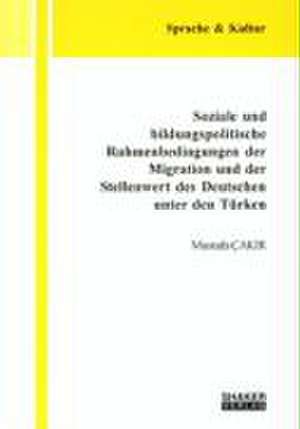 Soziale und bildungspolitische Rahmenbedingungen der Migration und der Stellenwert des Deutschen unter den Türken de Mustafa Çakir