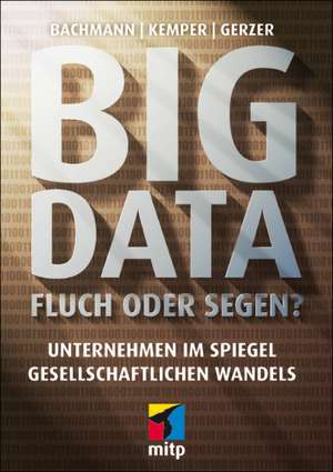 Big Data - Fluch oder Segen? de Ronald Bachmann