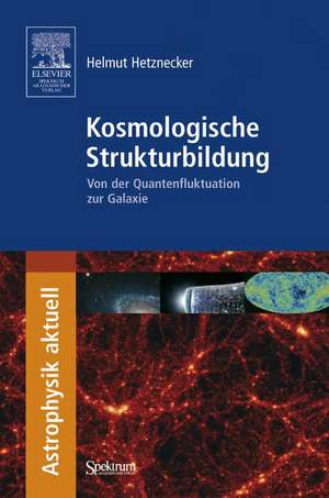 Kosmologische Strukturbildung: Von der Quantenfluktuation zur Galaxie de Helmut Hetznecker