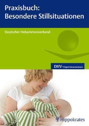 Praxisbuch: Besondere Stillsituationen