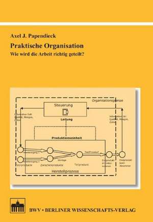 Praktische Organisation de Axel J. Papendieck