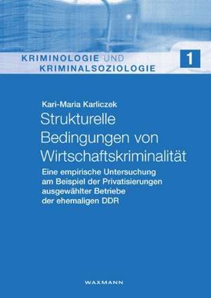 Strukturelle Bedingungen von Wirtschaftskriminalität de Kari-Maria Karliczek