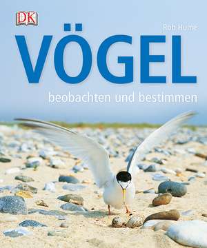 Vögel beobachten und bestimmen de Rob Hume