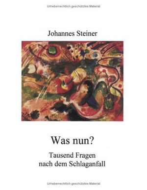 Was nun? Tausend Fragen nach dem Schlaganfall de Johannes Steiner