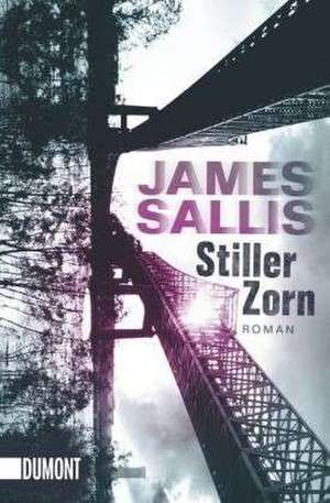 Stiller Zorn de James Sallis