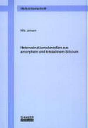 Heterostruktursolarzellen aus amorphem und kristallinem Silicium de Nils Jensen