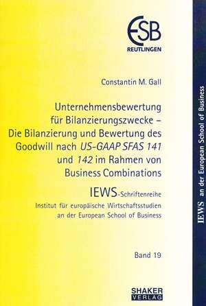 Unternehmensbewertung für Bilanzierungszwecke de Constantin M Gall