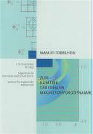 Zur Numerik der idealen Magnetohydrodynamik de Manuel Torrilhon