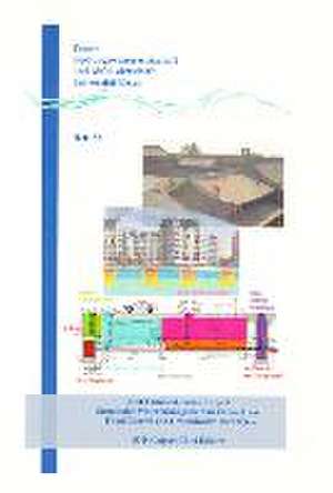 Joint Chinese-German Project: Sustainable Water Management in Urban Areas de Wolfgang F Geiger