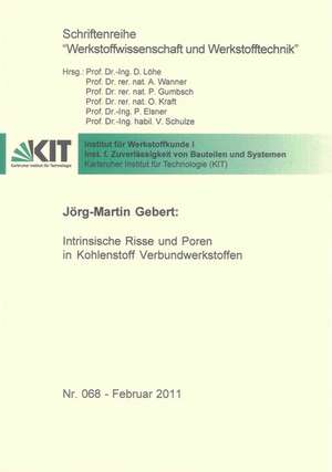 Intrinsische Risse und Poren in Kohlenstoff Verbundwerkstoffen de Jörg-Martin Gebert