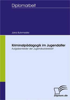 Kriminalp Dagogik Im Jugendalter - Aufgabenfelder Der Jugendsozialarbeit: The Sea de Jana Buhrmester