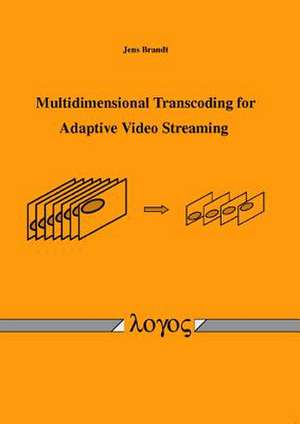 Multidimensional Transcoding for Adaptive Video Streaming