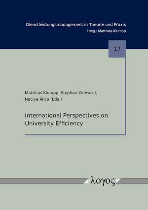 International Perspectives on University Efficiency