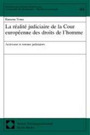 La réalité judiciaire de la Cour européenne des droits de l-homme