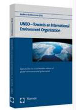 UNEO - Towards an International Environment Organization de Andreas Rechkemmer