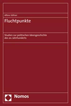 Fluchtpunkte de Alfons Söllner