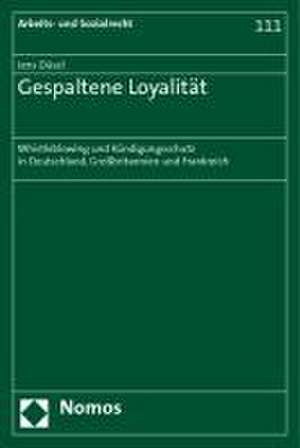 Gespaltene Loyalitat: Whistleblowing Und Kundigungsschutz in Deutschland, Grossbritannien Und Frankreich de Jens Düsel