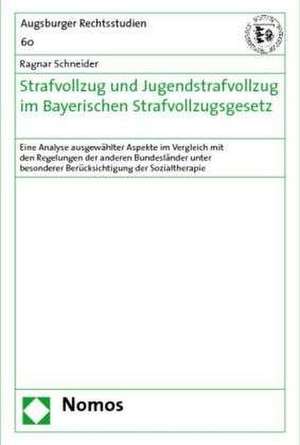 Strafvollzug und Jugendstrafvollzug im Bayerischen Strafvollzugsgesetz de Ragnar Schneider