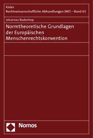 Normtheoretische Grundlagen Der Europaischen Menschenrechtskonvention: A Human Rights Approach de Johannes Badenhop