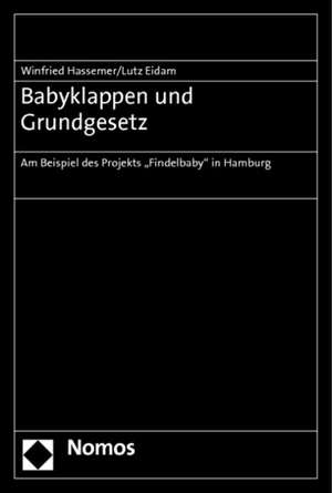 Babyklappen Und Grundgesetz: Am Beispiel Des Projekts 'Findelbaby' in Hamburg de Winfried Hassemer