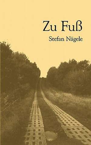 Zu Fuss: The Immeasurable Equation. the Collected Poetry and Prose de Stefan Nägele