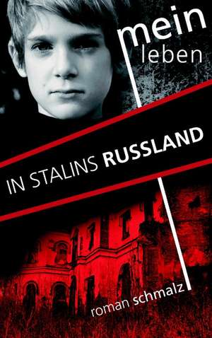 Mein Leben in Stalins Russland de Roman Schmalz