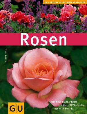 Rosen de Heide Rau