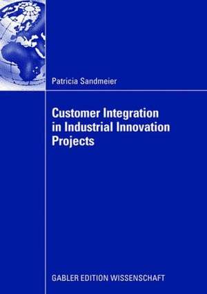 Customer Integration in Industrial Innovation Projects de Patricia Sandmeier