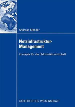 Netzinfrastruktur-Management: Konzepte für die Elektrizitätswirtschaft de Andreas Stender