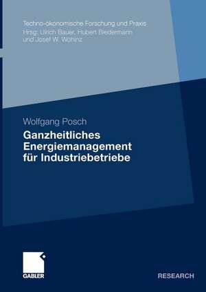 Ganzheitliches Energiemanagement für Industriebetriebe de Wolfgang Posch