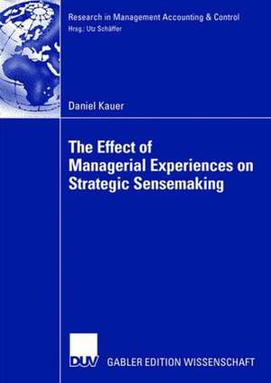 The Effect of Managerial Experiences on Strategic Sensemaking de Daniel Kauer