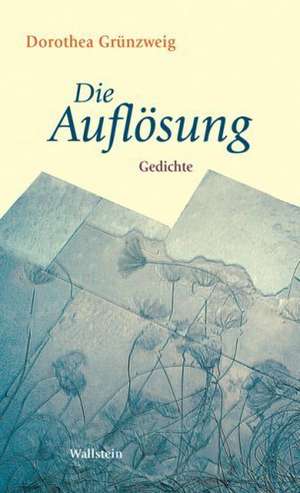 Die Auflösung de Dorothea Grünzweig