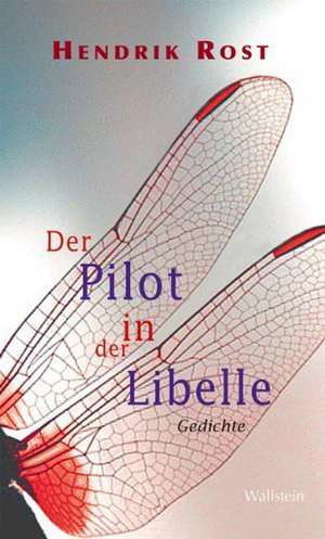 Der Pilot in der Libelle de Hendrik Rost