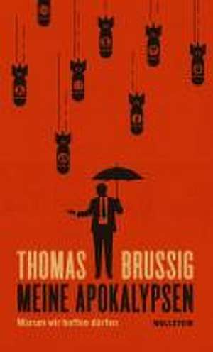 Meine Apokalypsen de Thomas Brussig